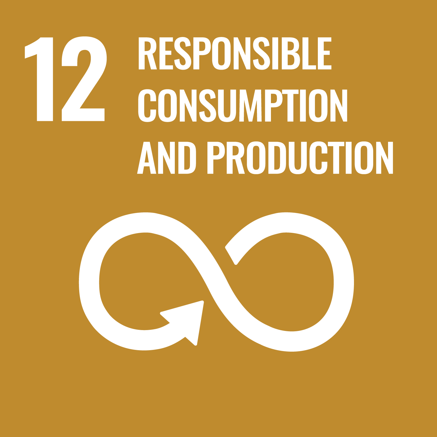 ODS 12. Producción y consumo responsables
