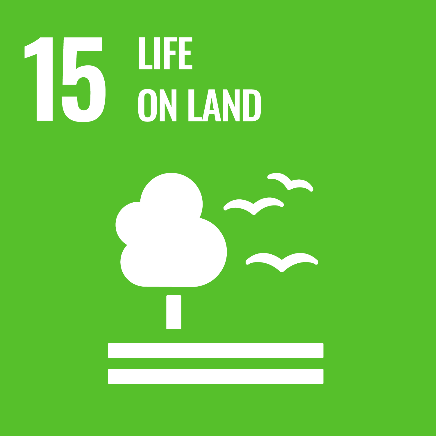 ODS 15. Vida de ecosistemas terrestres